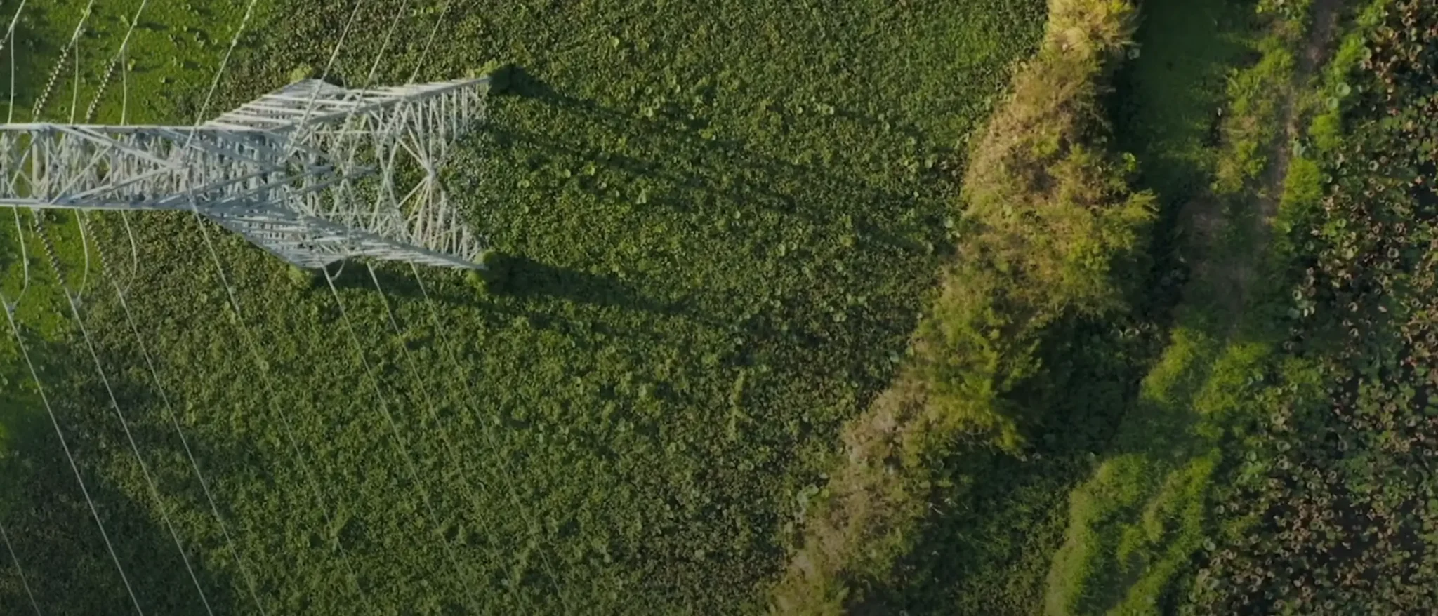Transmission Lines Engineering